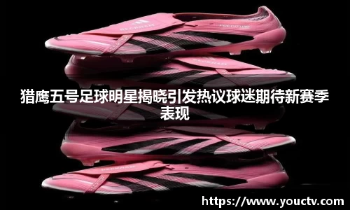 猎鹰五号足球明星揭晓引发热议球迷期待新赛季表现