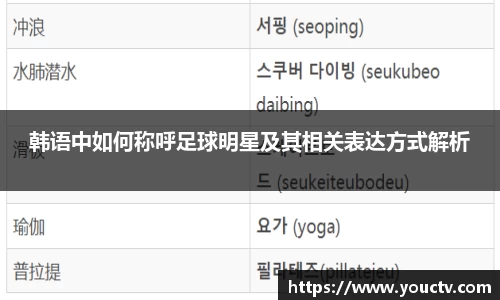 韩语中如何称呼足球明星及其相关表达方式解析